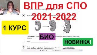 ВПР СПО по биологии 2021-2022, 1 курс. Разбираем вариант