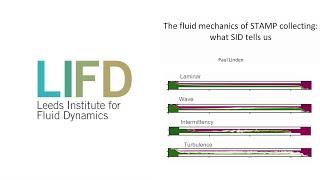 The fluid mechanics of STAMP collecting: what SID tells us - Paul Linden