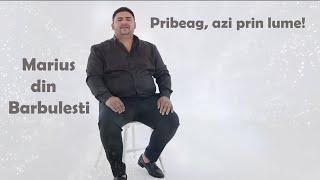  Marius din Barbulesti - Pribeag, azi prin lume! (Muzica Crestina de colectie)