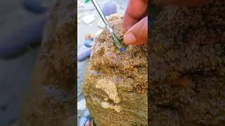 “Digging Out Expensive Crystals Agate from Raw Stone! #viral #youtubeshorts #gemstones