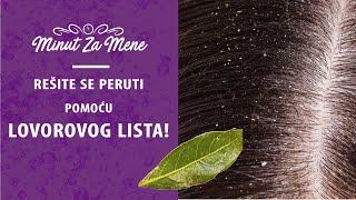 LOVOROV LIST za PERUT - BRZO REŠENJE za LJUSPICE NA GLAVI!  | Minut za Mene