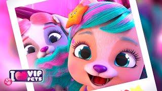  TEMPORADA 2 COMPLETA  VIP PETS  PENTEAR É OUSAR!  EPISÓDIOS COMPLETOS  DESENHO INFANTIL