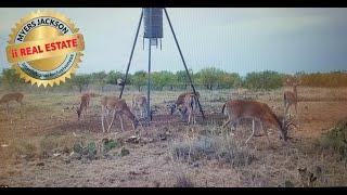 612 Acre Rolling Rock Ranch Auction, Myers Jackson Auctioneer