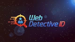 Web Detective ID: Transforming Anonymous Visitors into Business Opportunities