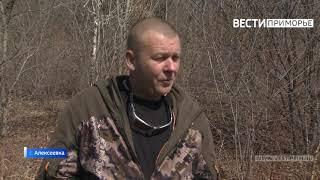 Краснокнижных японских журавлей готовят к выпуску в природу