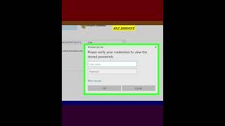 How to View Passwords in Credential Manager on Windows