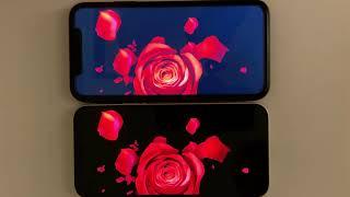 iPhone 12 OLED (Super Retina XDR) vs iPhone 11 LCD Screen Comparison Test