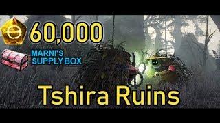 Tshira Ruins IS IT WORTH IT?! | Marni's Research Box (Black Desert Online)