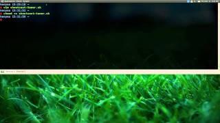 Shoutcast Tuner - Script - Ubuntu 10.10