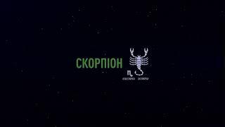 Футаж Скорпион Scorpio