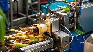 Genius Girl Made A Bamboo Shoot Peeling Machine For The Uncle