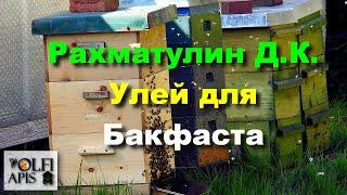 #Рахматулин Д.К. Улей для Бакфаста