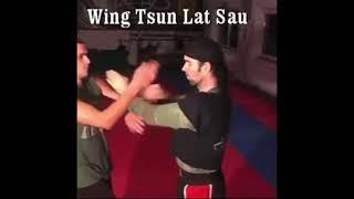 Wing Chun Kungfu (Wing Tsun) | Lat Sao Drills | Mario Altaner