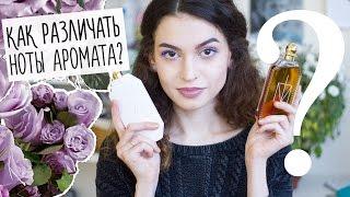 Ноты и пирамида аромата. Как различать ноты в парфюмерии?  Anisia Beauty