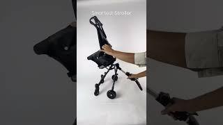 TodsNteens Exclusive Smart Buggy Stroller