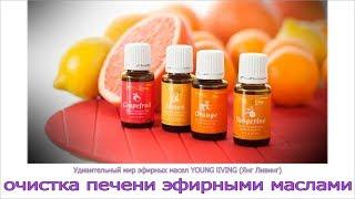 Эфирные масла YOUNG lIVING (Янг Ливинг) Очистка печени