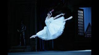 Natalia Osipova Coppelia Spanish Dance