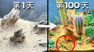 模拟沙漠 100 天