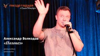 Александр Волкодав - Полонез (СПб, 10.02.2024) #гнездоглухаряспб #питер #голос #voice