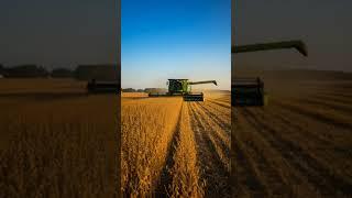 #DreamScreenAI harvesting soybeans in American Farming new update