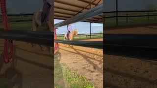 #sunsetride 