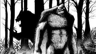 Cryptid Bird Hunting Catskill Mountain Swamplands #dogman #bigfoot #paranormal #unknown #cryptid