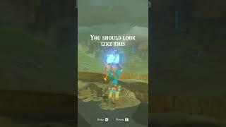 You probably already know how to do this. #zelda #tutorial #glitch #fast #useful #breathofthewild