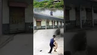 Record life, rural areas, rural areas, rural areas, dogs pounce on the farmer's big brother, DOU