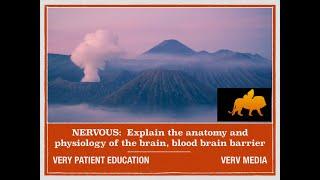 VERY PATIENT EDUCATION NERVOUS:  The anatomy and physiology of the brain, spinal cord