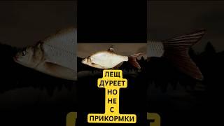 РР4 Старый Острог - Лещ дуреет с этой прикормки - Русская Рыбалка 4 #рр4 #русскаярыбалка4