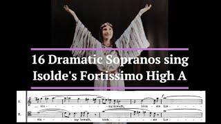 16 Dramatic Sopranos sing Isolde's Ultra-Forte High A