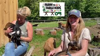 Sunflower Farm Creamery: Goats, Farms, Food, and Books