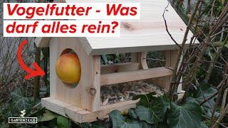 Vogelfutter selber mischen! Was darf rein - was auf KEINEN FALL ?!