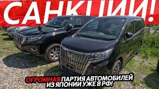 СТОЯНКИ БИТКОМБЮДЖЕТНЫЕ ГИБРИДЫ⁉️САНКЦИОННЫЕ АВТО ТЕПЕРЬ ВЫГОДНО