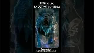 LA OCTAVA POTENCIA SONIDO LEO 50 ANIVERSARIO SALSA @Noemagia28 @28noemagiaproducciones