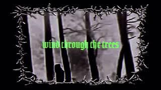 Bones - TheBlairWitchProject (Lyrics)