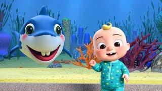 baby Shark 67 2