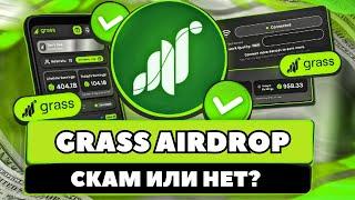 GRASS AIRDROP |  Скам или Иксы? | ПОДРОБНЫЙ ОБЗОР