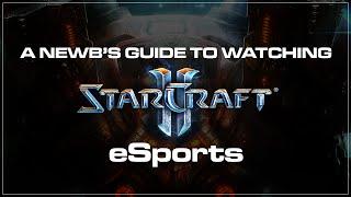 BlizzCon! A newb's guide to Starcraft 2 eSports.