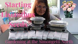 Starting Lisianthus Seeds  // Gardening at the Simongetti North