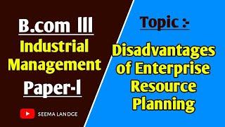 Disadvantages of Enterprise Resource Planning