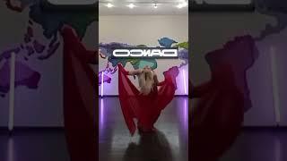 Натали Мишнева, Oriental Dance с Шалью, Belly Dance, +7(916) 957-77-07, Эстрада