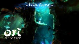 Ori and the Blind Forest | Black Root Burrows Extended: Lost Grove / Walkthrough