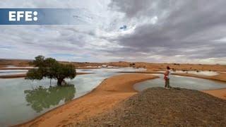 Las inundaciones en el desierto de Marruecos resucitan un lago seco desde hace 50 años