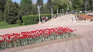Алма-Ата, Сквер, памятник Д А Кунаеву  ул Кирова Кунаева  26 04 2022