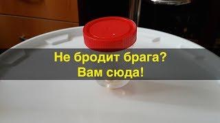 Брага не бродит? Основные причины, и как исправить.