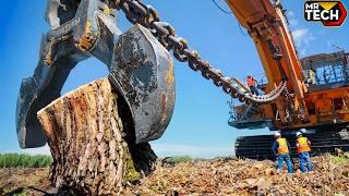 Extreme Dangerous Fastest Big Chainsaw Cutting Tree Machines | Biggest Heavy Equipment Machines #9