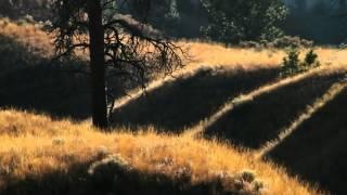 Silvia - Dylan Sherrard Season Finale (1080p, 3D)