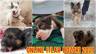 Online itlar bozori  | 17.05.21