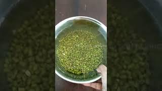 How to sprout green gram at home without using cheese cloth | Green gram sprouts easy way